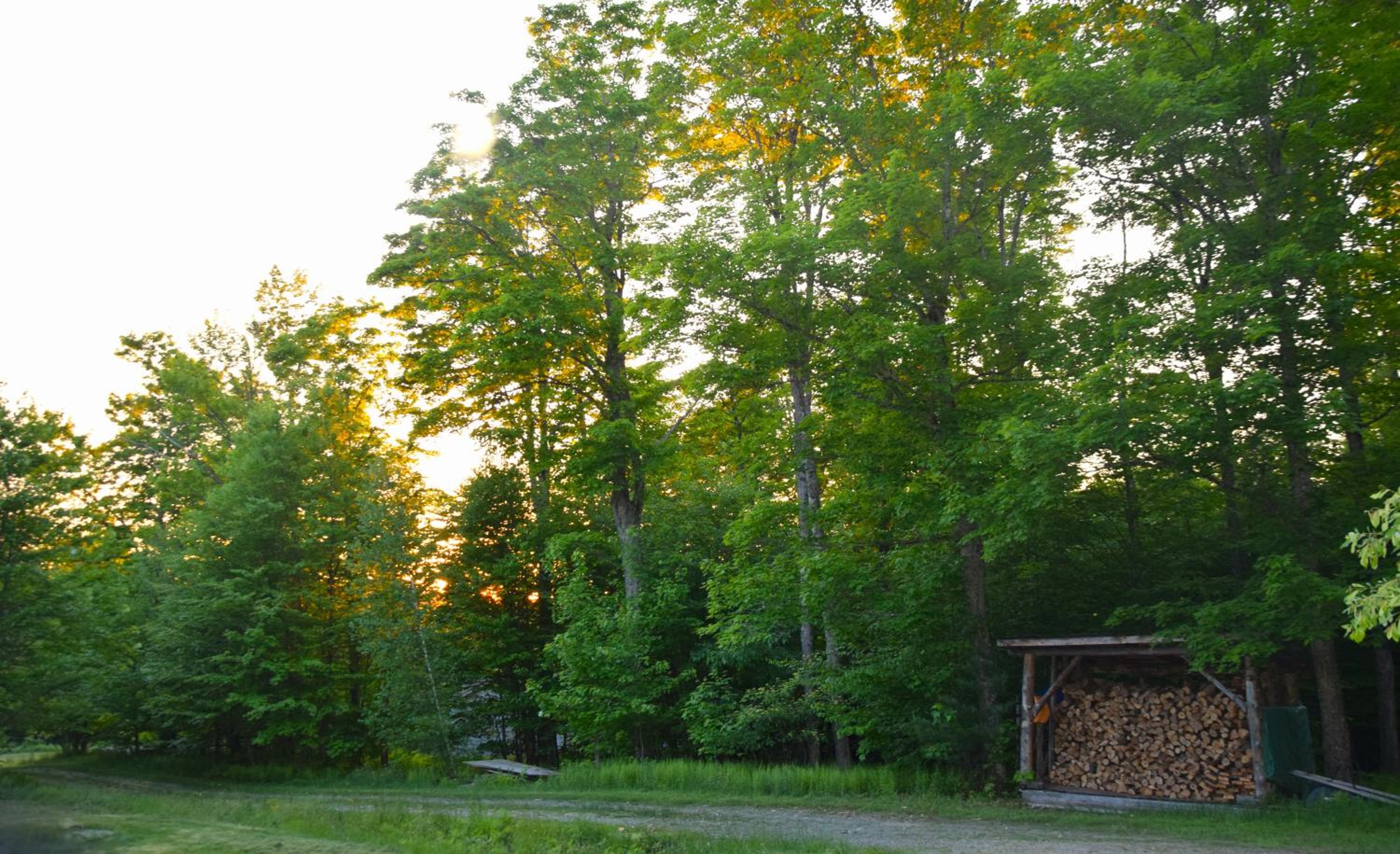 Chalet en bois rond des Perséides