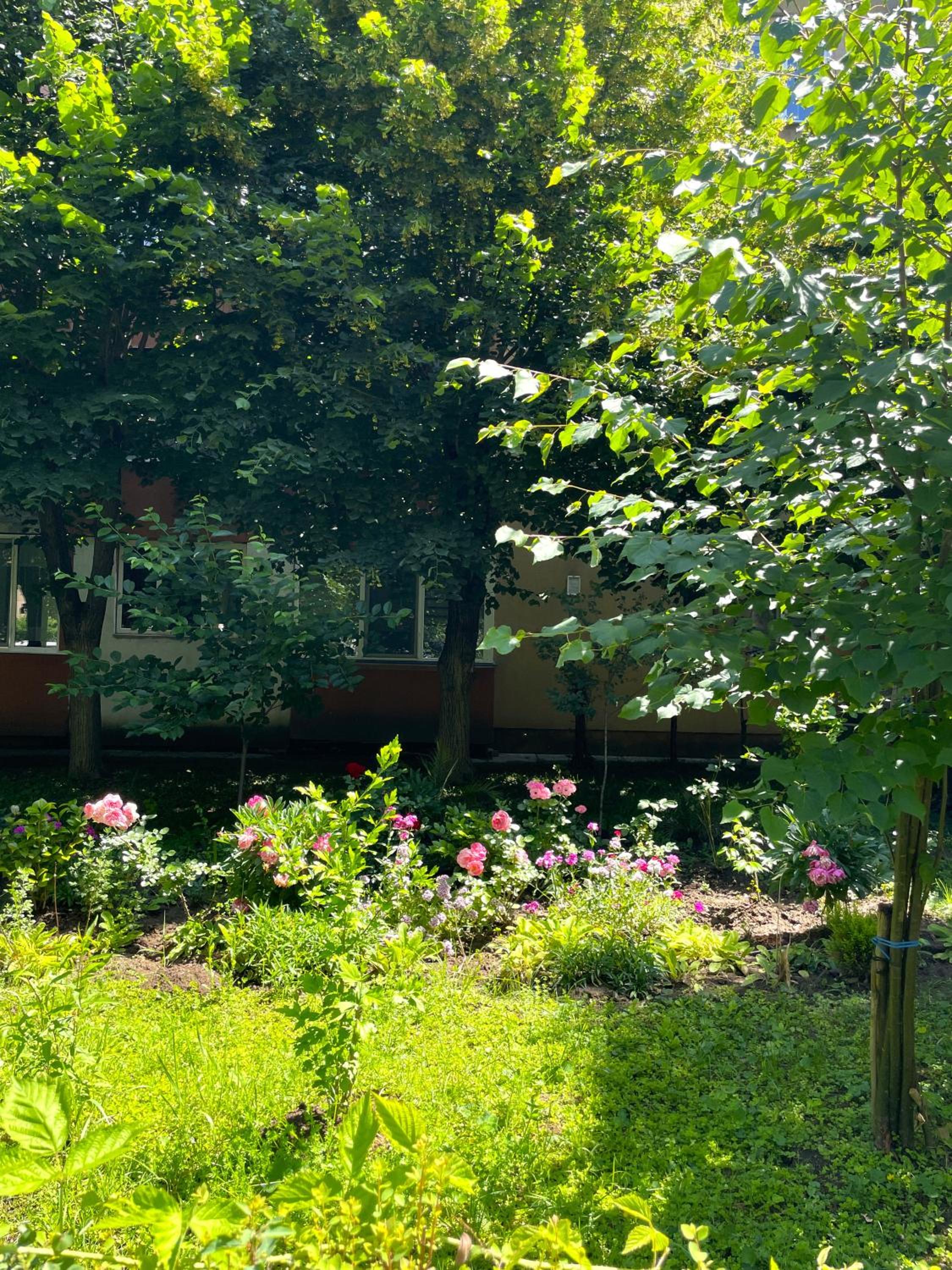 Inga Oasis