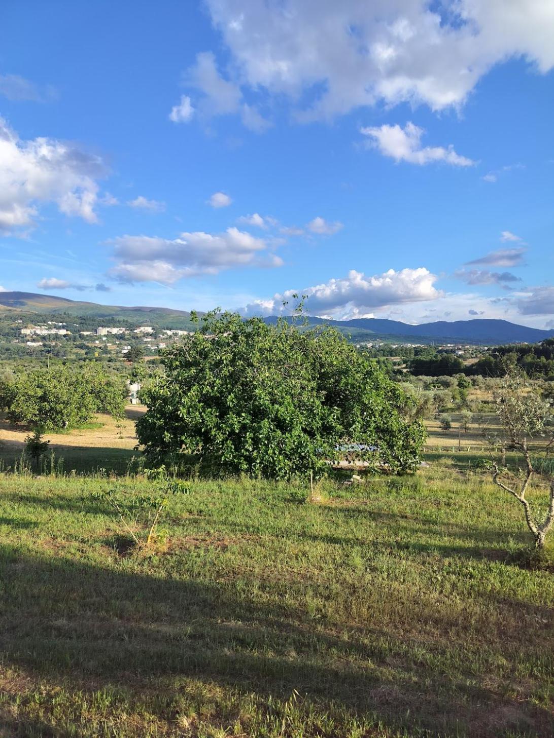 Arpuro