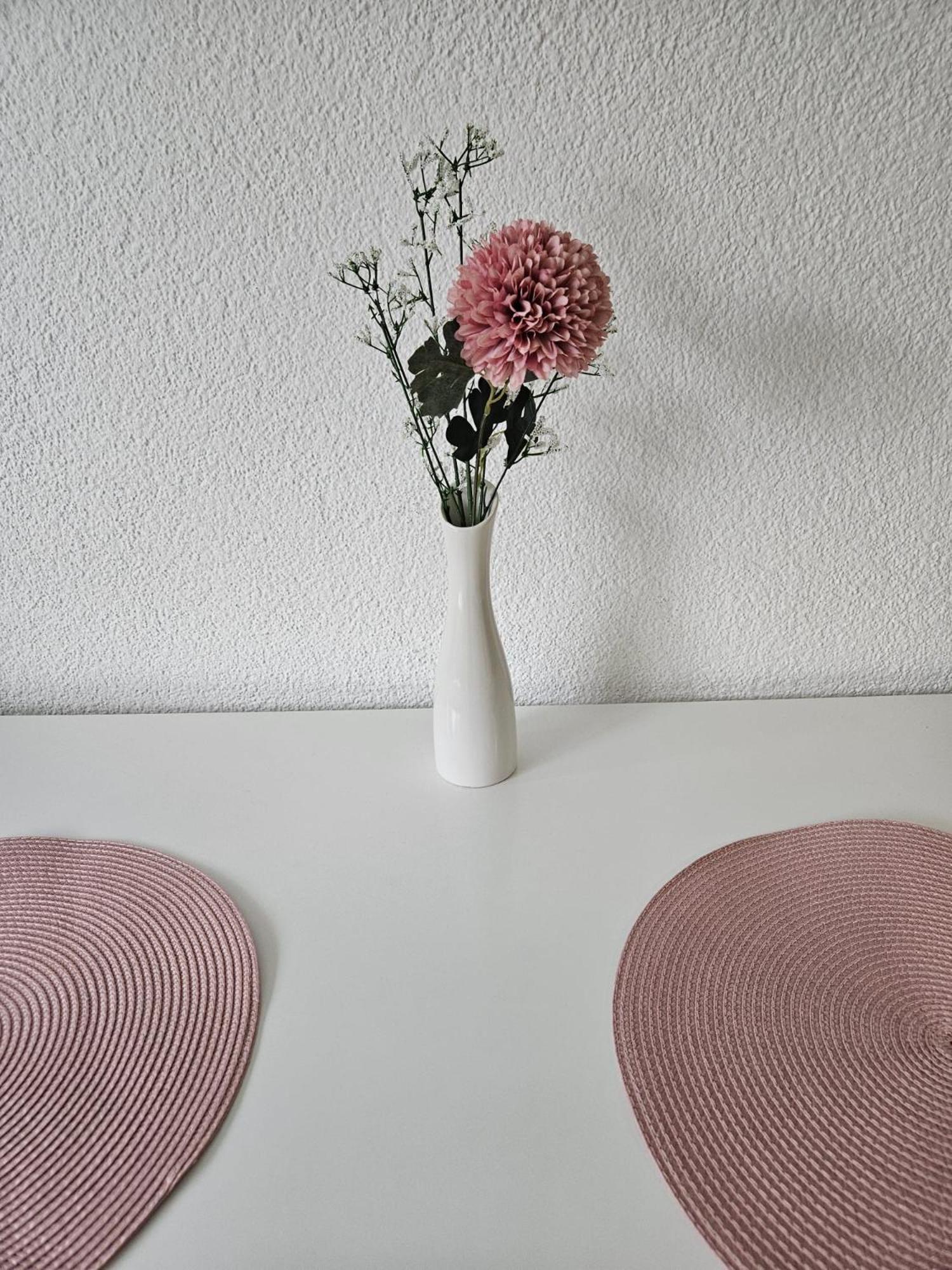 Apartman Aladin view 5