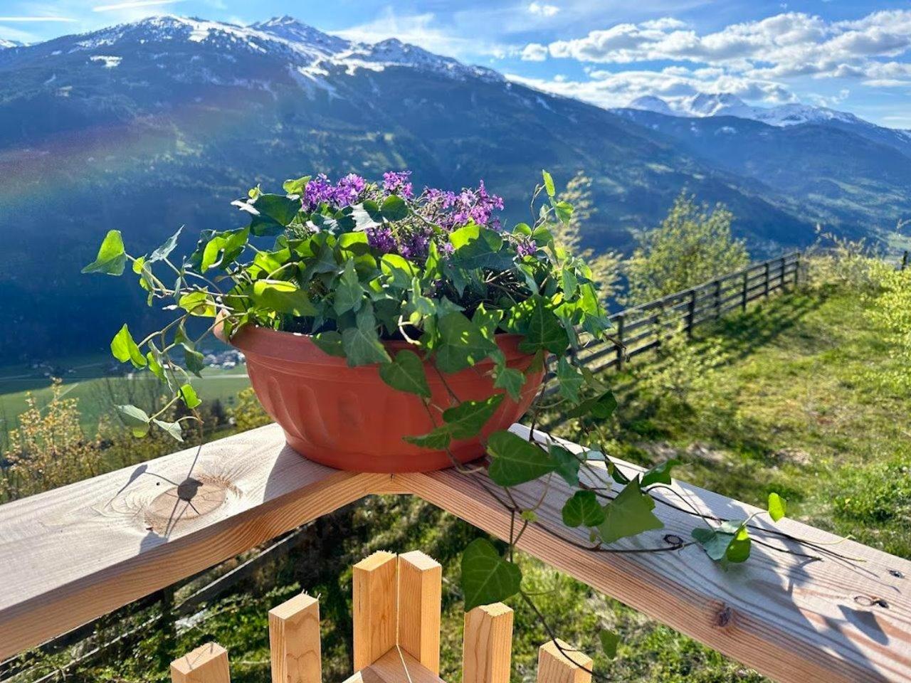 ALPBLICK Apart en Aschau