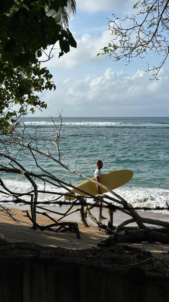 Tartane Logement familial en bord de mer avec accès direct plage & surf