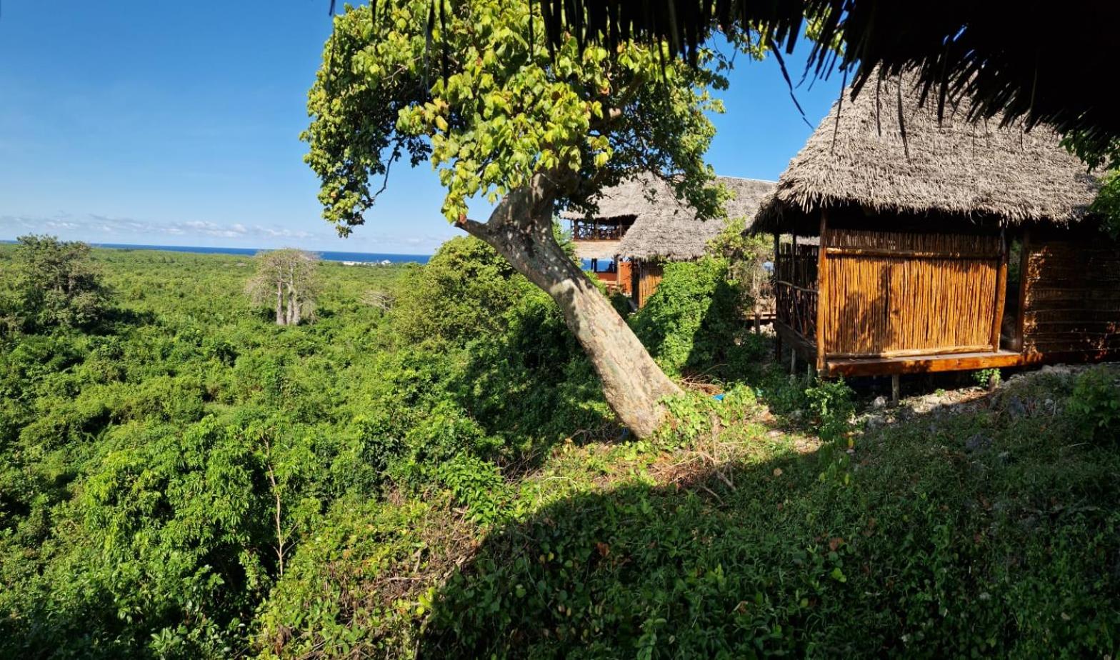 MONKEY MOUNTAIN LODGE