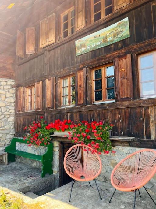 Ferme Pasquier - Farmhouse with panoramic view - 1000 m2 garden