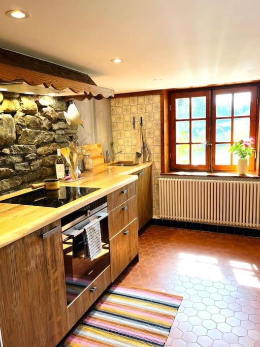 Ferme Pasquier - Farmhouse with panoramic view - 1000 m2 garden