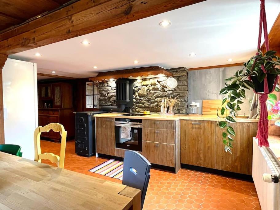 Ferme Pasquier - Farmhouse with panoramic view - 1000 m2 garden