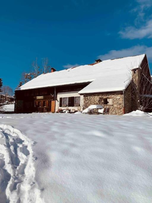 Ferme Pasquier - Farmhouse with panoramic view - 1000 m2 garden