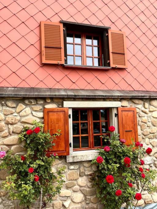 Ferme Pasquier - Farmhouse with panoramic view - 1000 m2 garden
