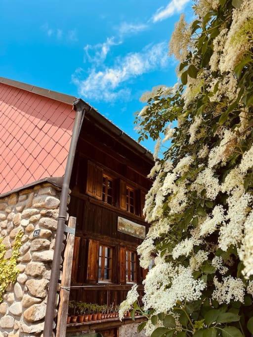 Ferme Pasquier - Farmhouse with panoramic view - 1000 m2 garden