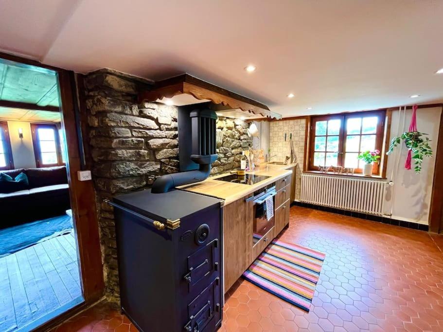 Ferme Pasquier - Farmhouse with panoramic view - 1000 m2 garden