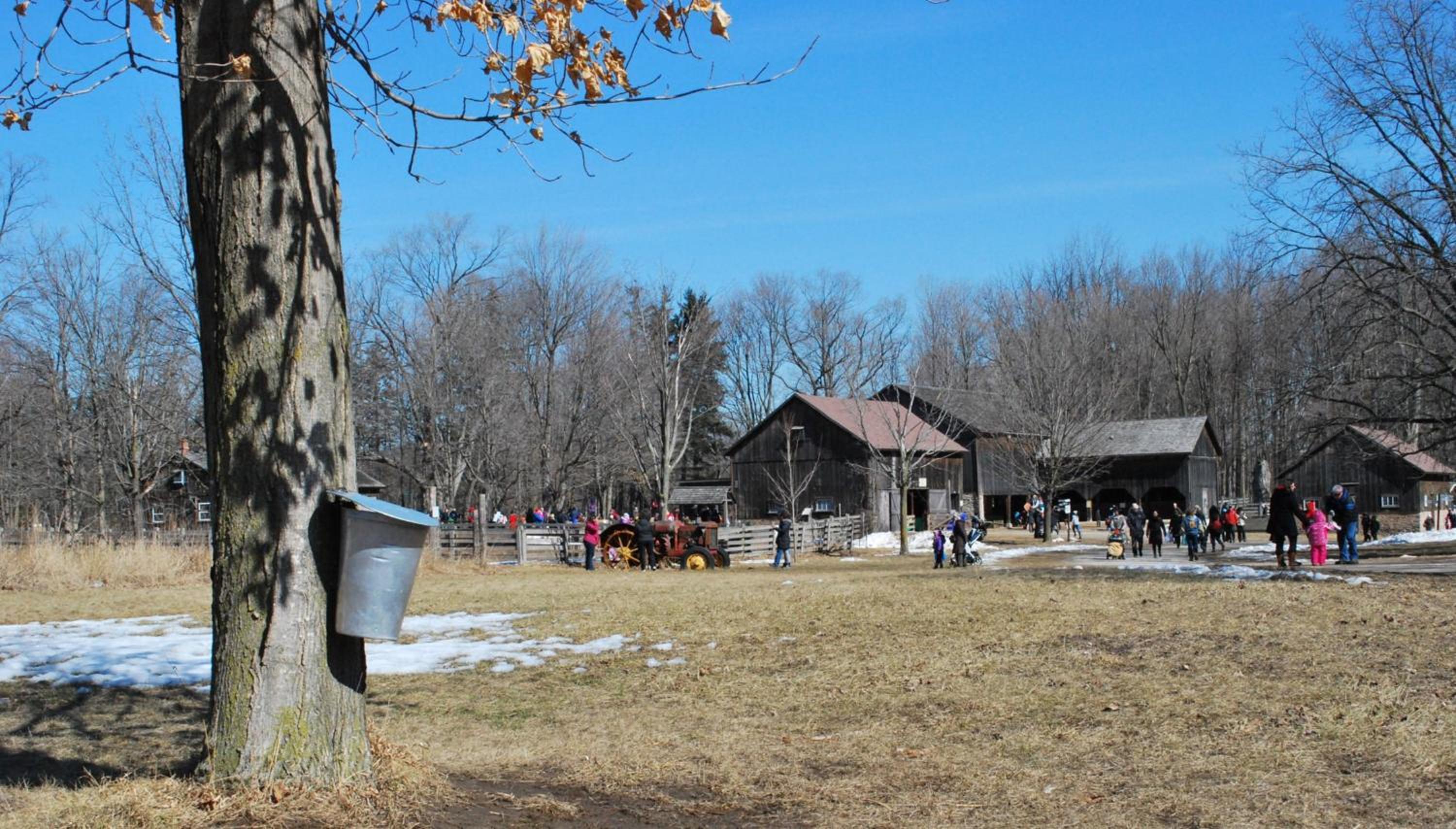 Holiday Inn Oakville Centre, an IHG Hotel - Property Image 25