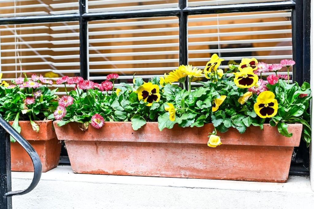 The Perfect Queensway Studio Apartment