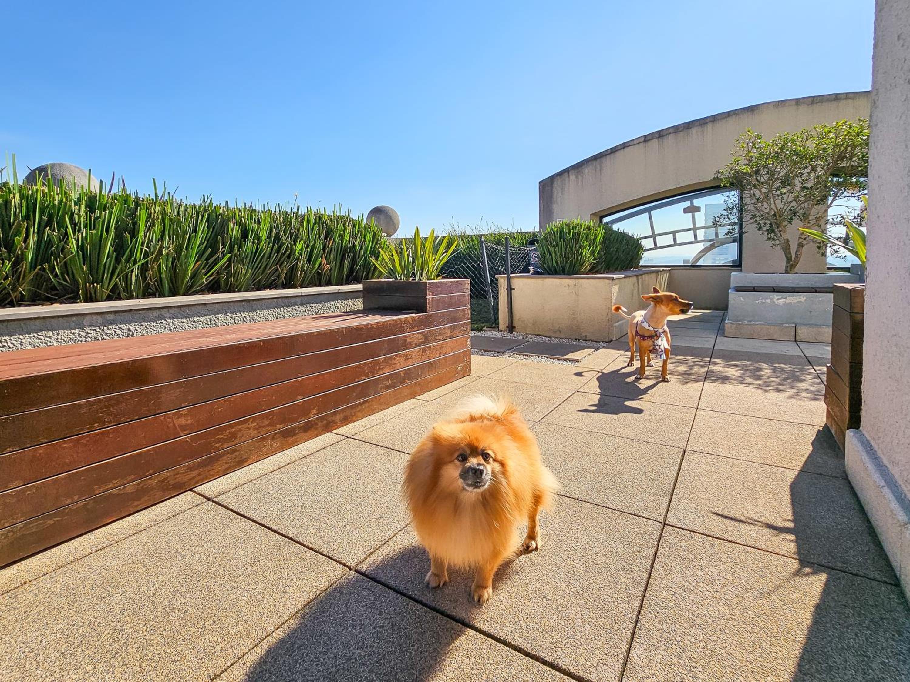 Flat Aconchegante 13 de Maio - Pet Friendly & Business