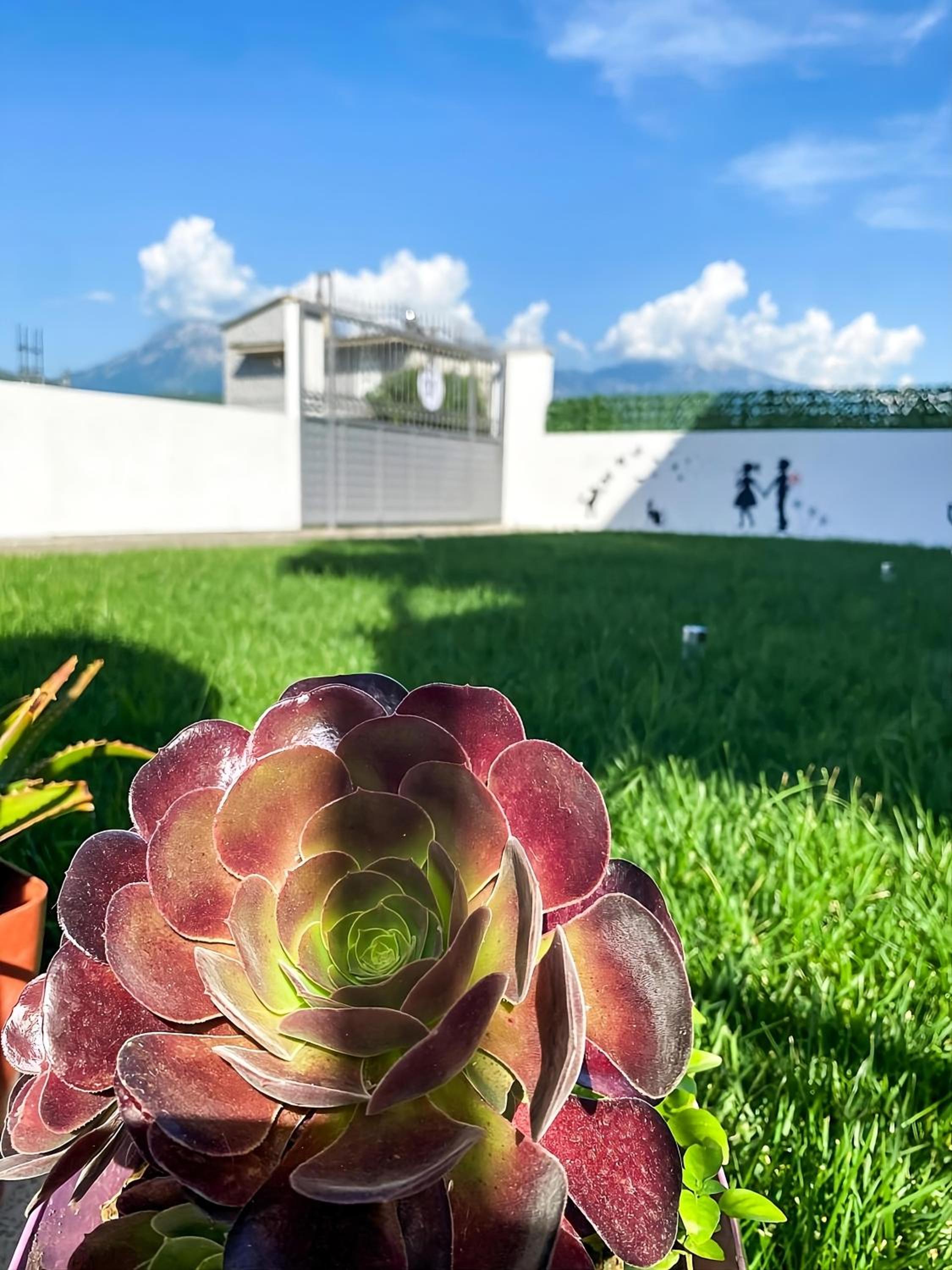 Villa Tabaku