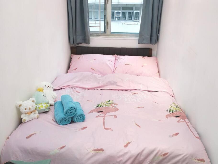 Lovely Private Entire Apartment in Austin