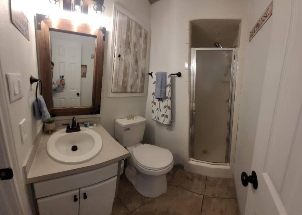 Photo 16