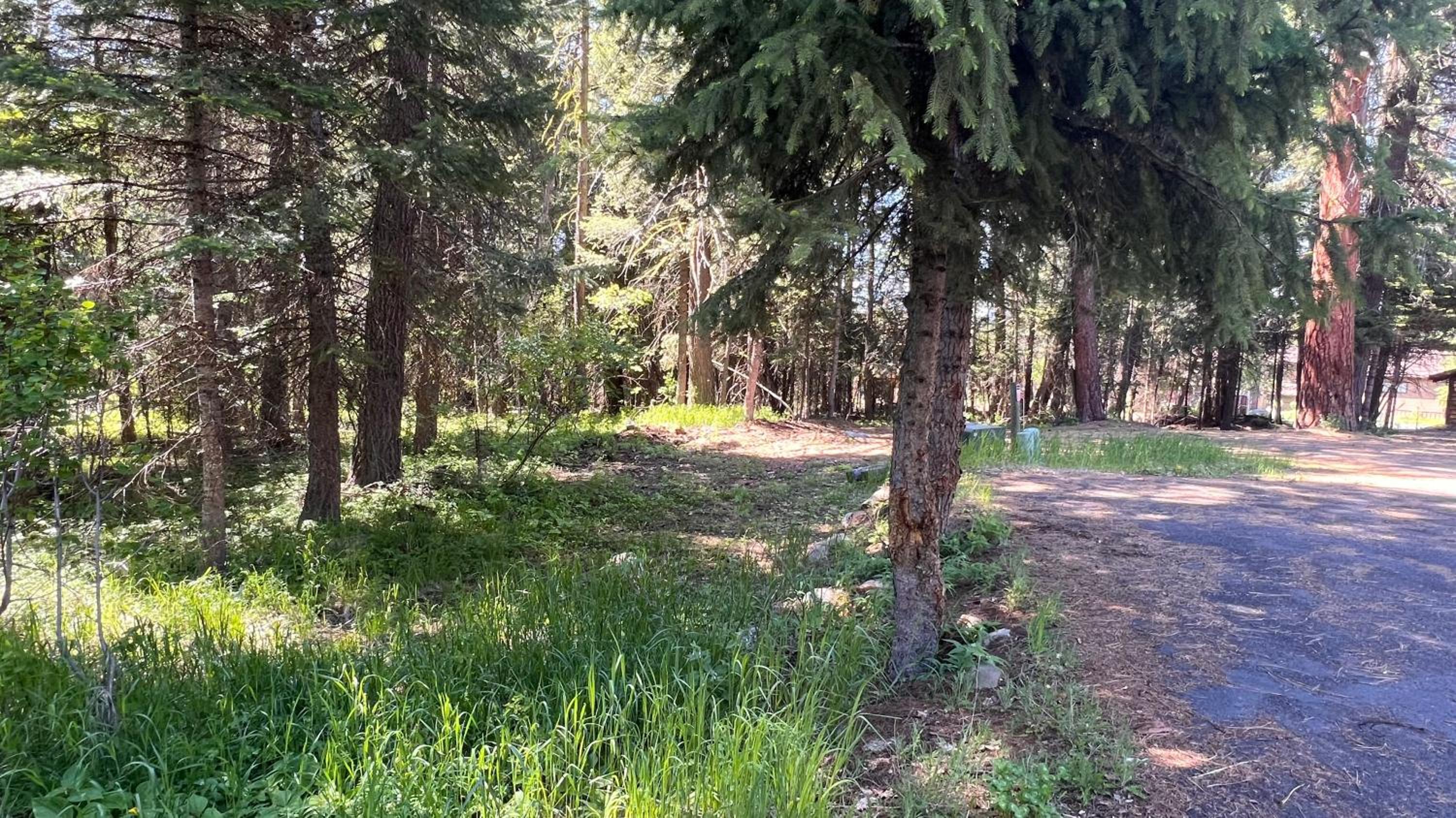 New - Golfers View - on Golf Course - Close to park and lake view 5