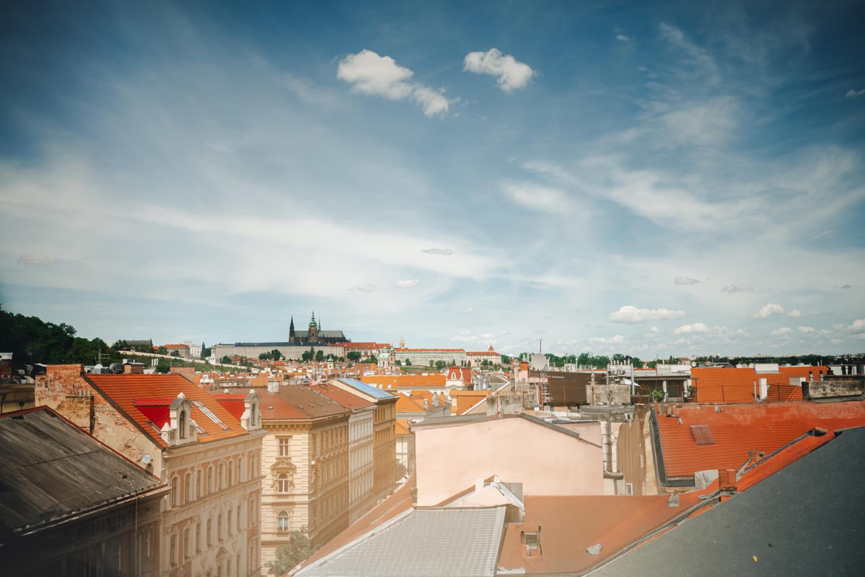 roof