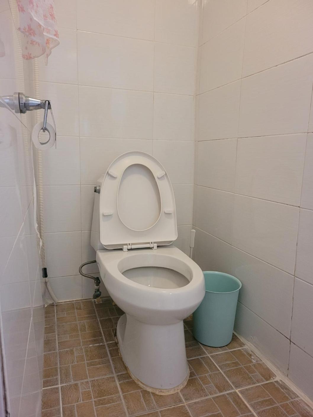 Camomile Guesthouse