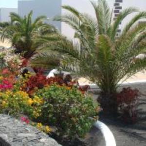 Villa ATLANTIS urlaubsfeeling mit solarbeheiztem Pool