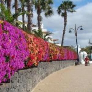 Villa ATLANTIS urlaubsfeeling mit solarbeheiztem Pool