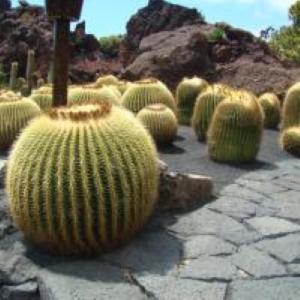 Villa ATLANTIS urlaubsfeeling mit solarbeheiztem Pool