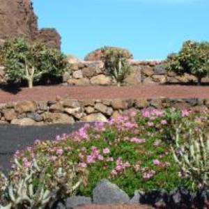 Villa ATLANTIS urlaubsfeeling mit solarbeheiztem Pool