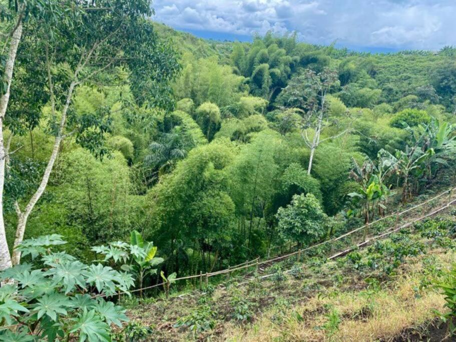 Hermosa casa campestre cerca del parque del Café