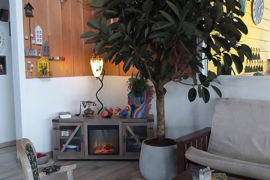 Cuki House