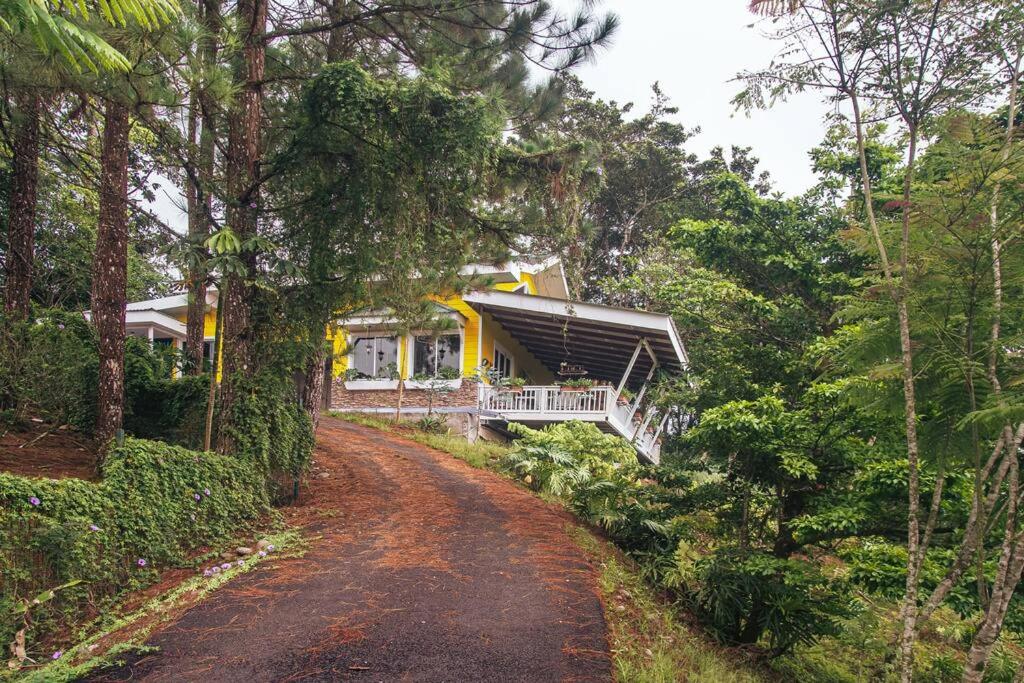Cuki House