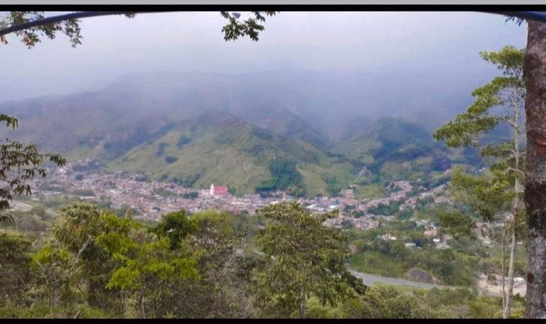 Refugio en el bosque - Property Image 1