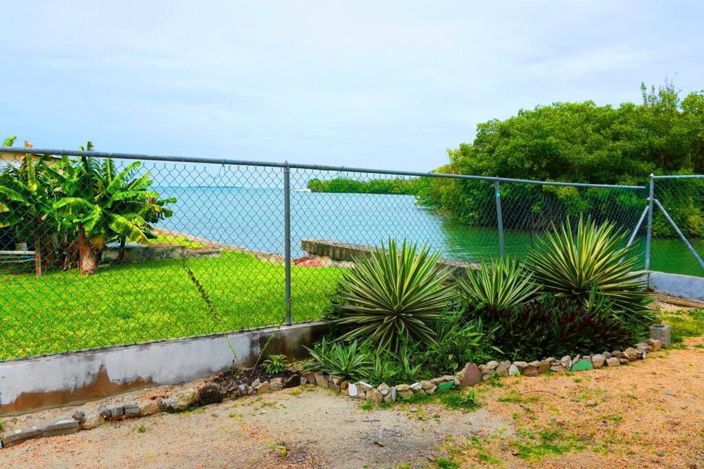 See Belize TRANQUIL Sea View Studio with Balcony & Infinity Pool