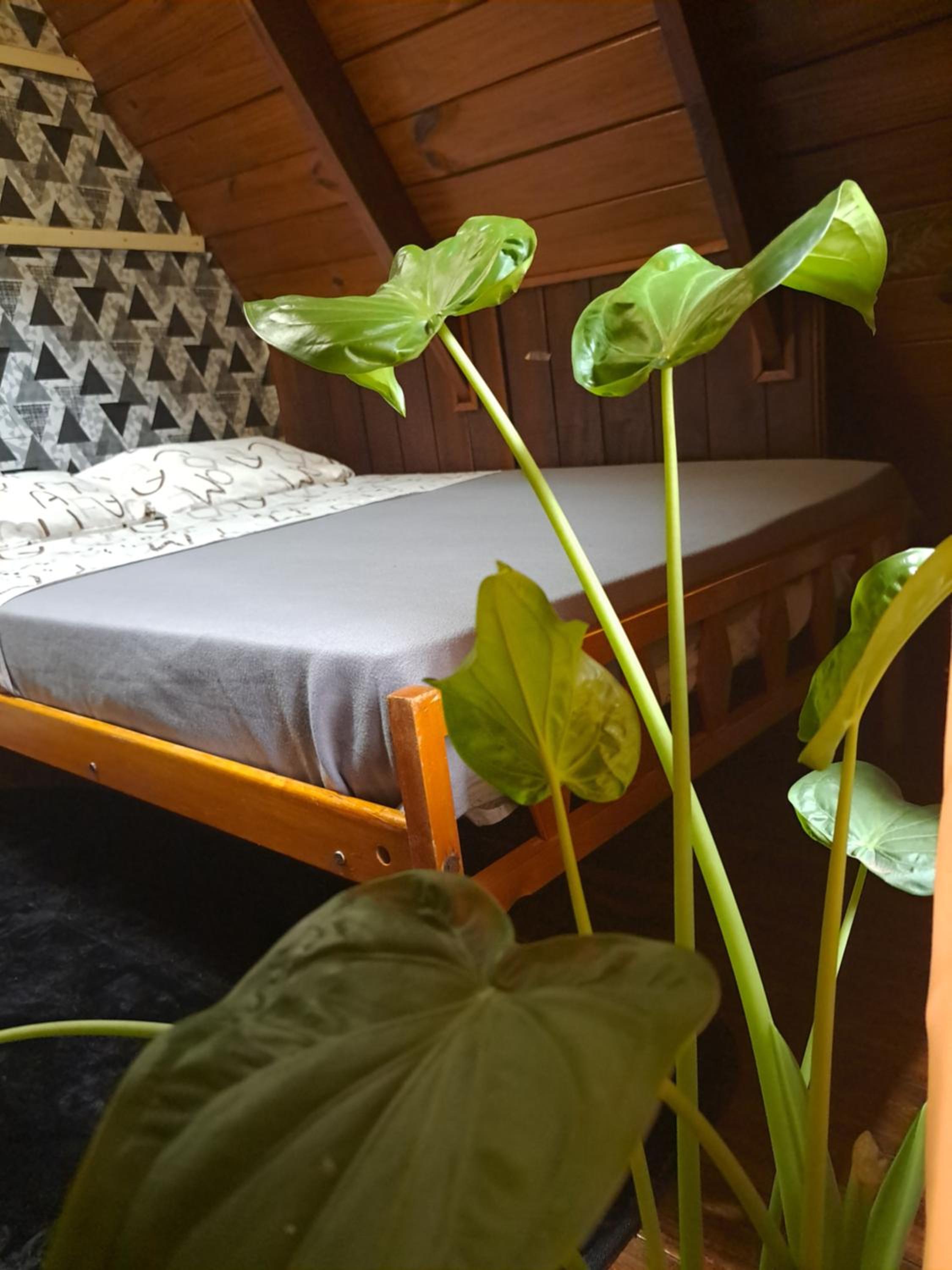 Bungalow Hostel Iguazú