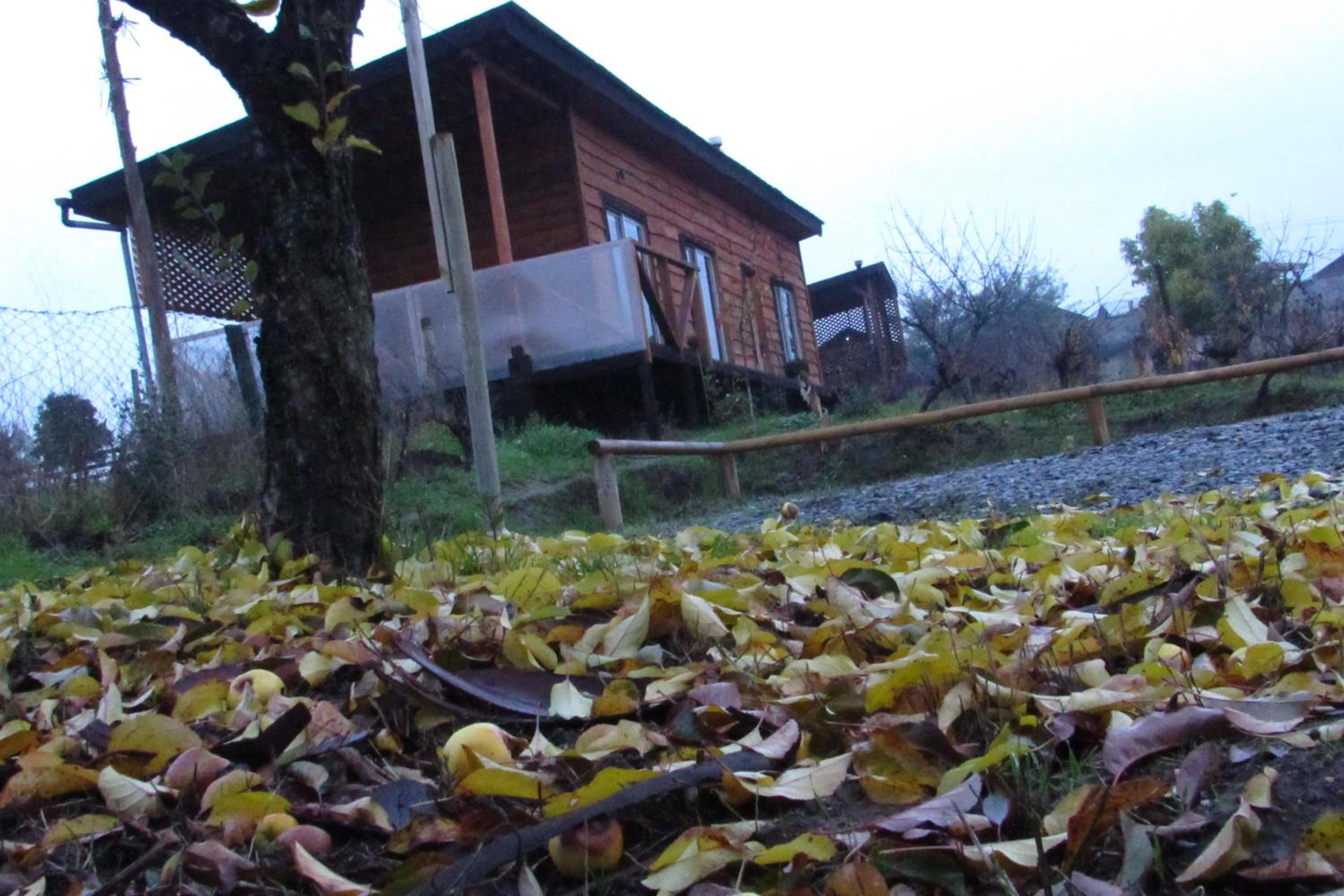 Cabaña Refugio Magenta con tinaja caliente incluida