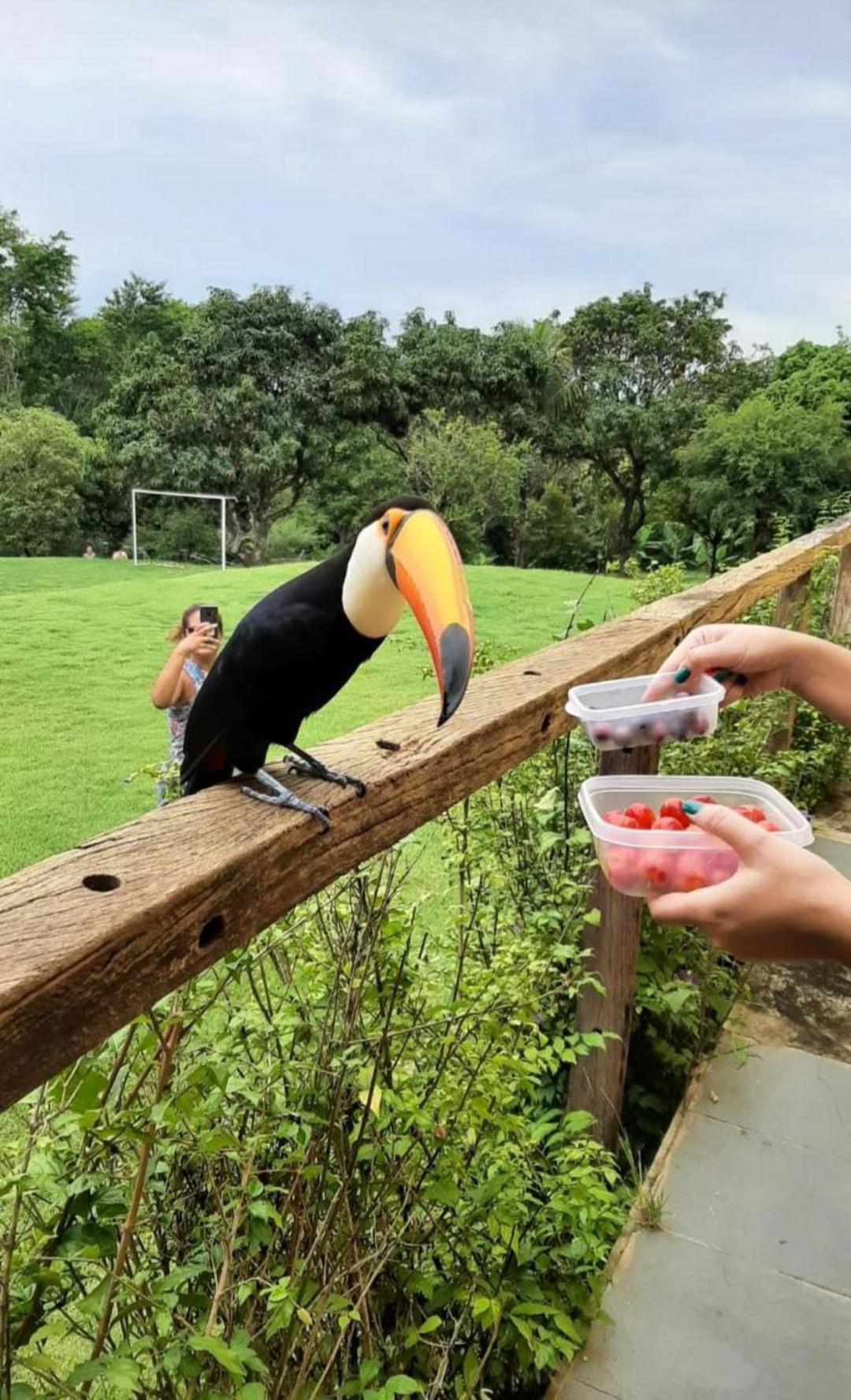 Belíssima Chácara de Alto Padrão em Boituva