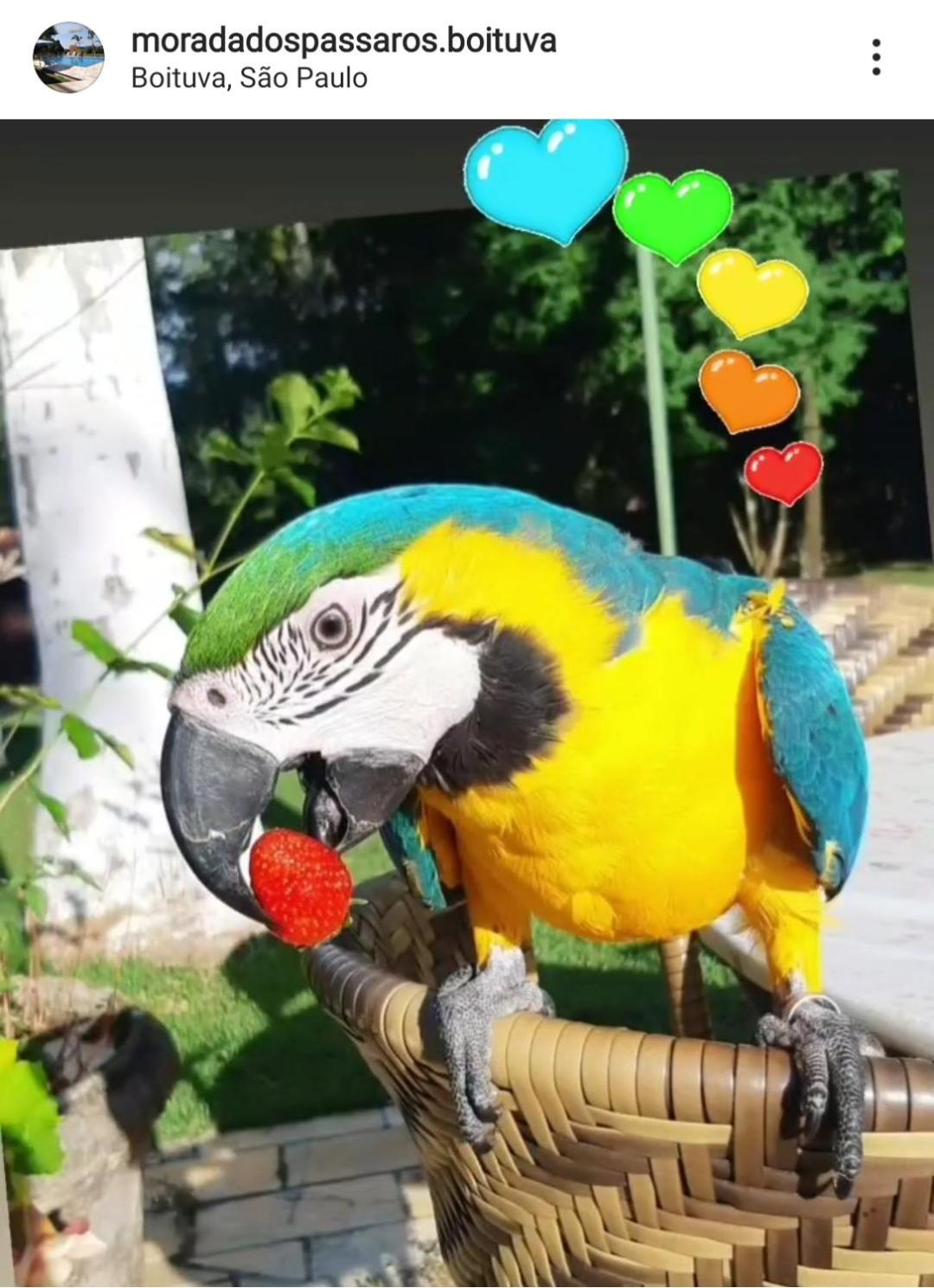 Belíssima Chácara de Alto Padrão em Boituva