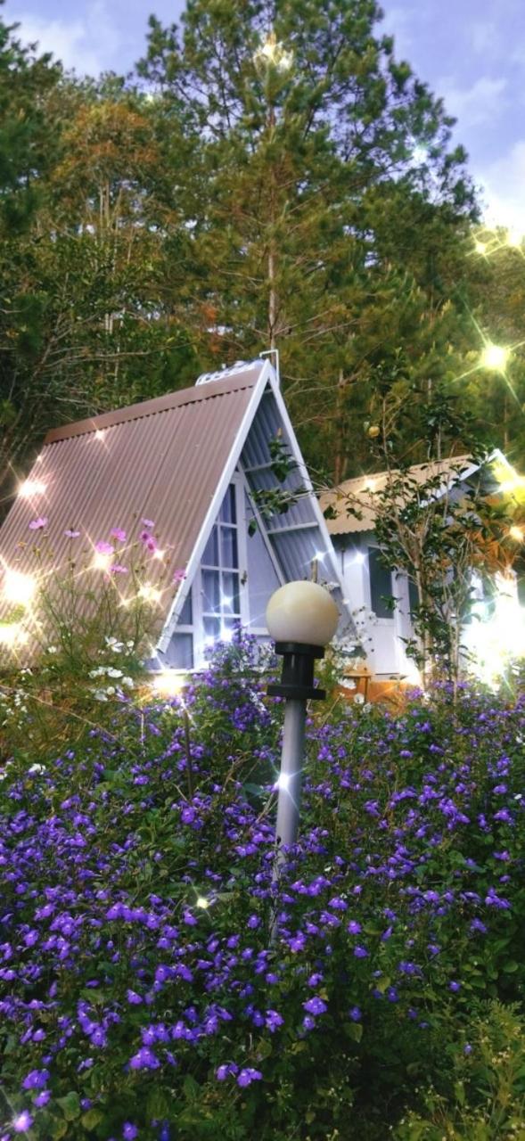 Tuyết Hoa Hòn Bồ Homestay