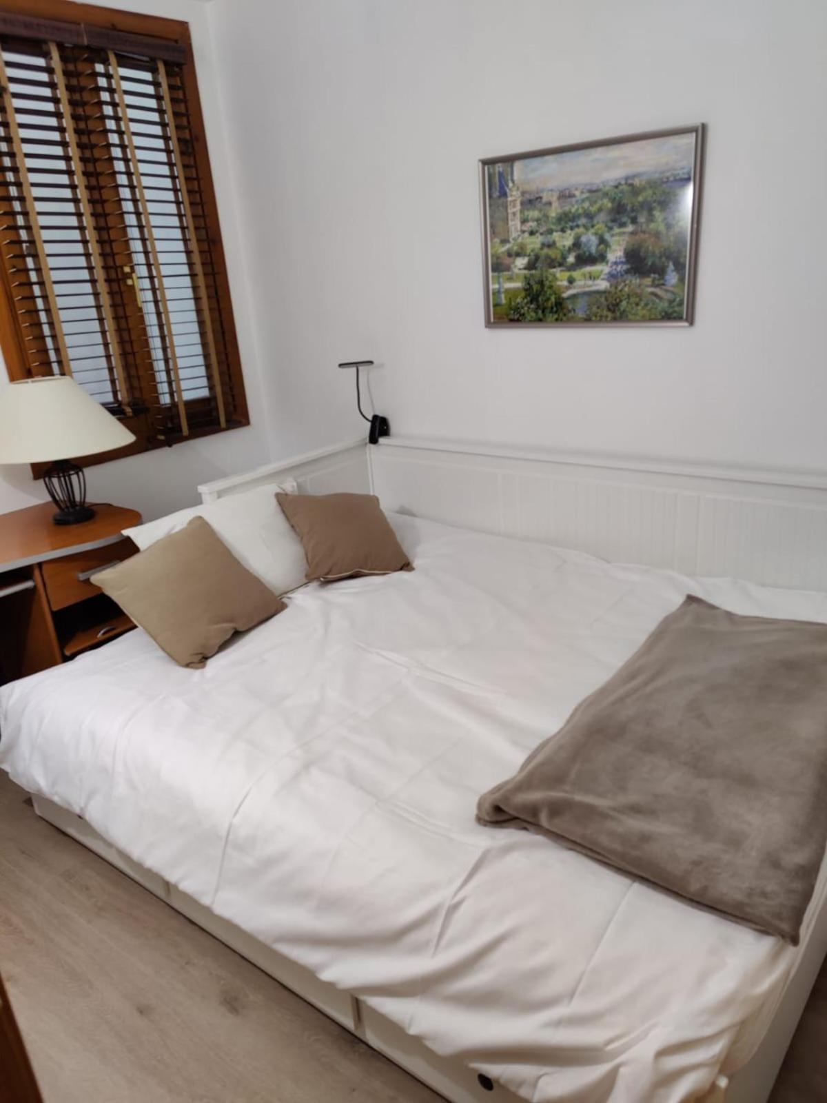 Superb flat in the centre of capital, ski, Caldea