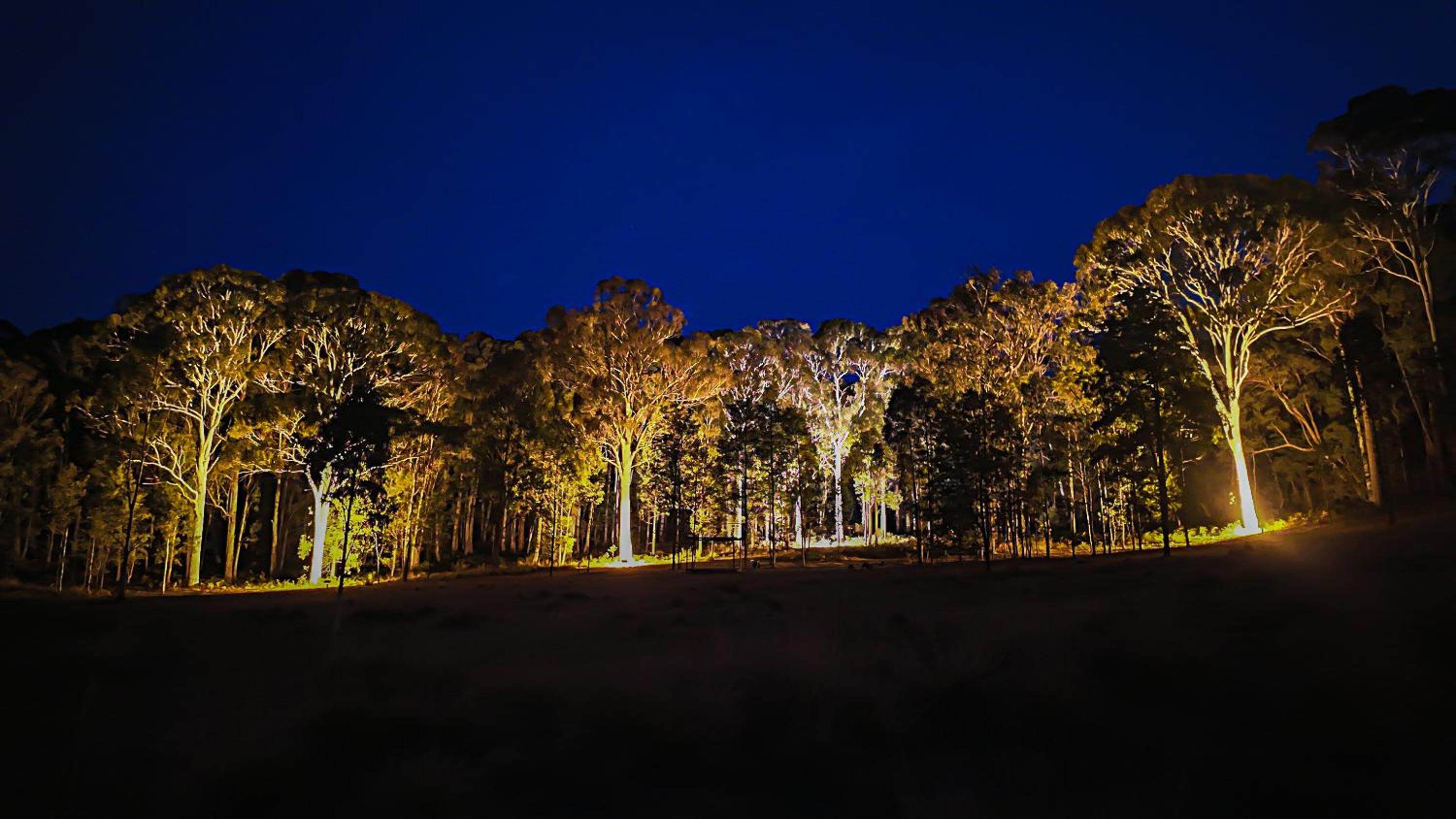 Bald Hills House