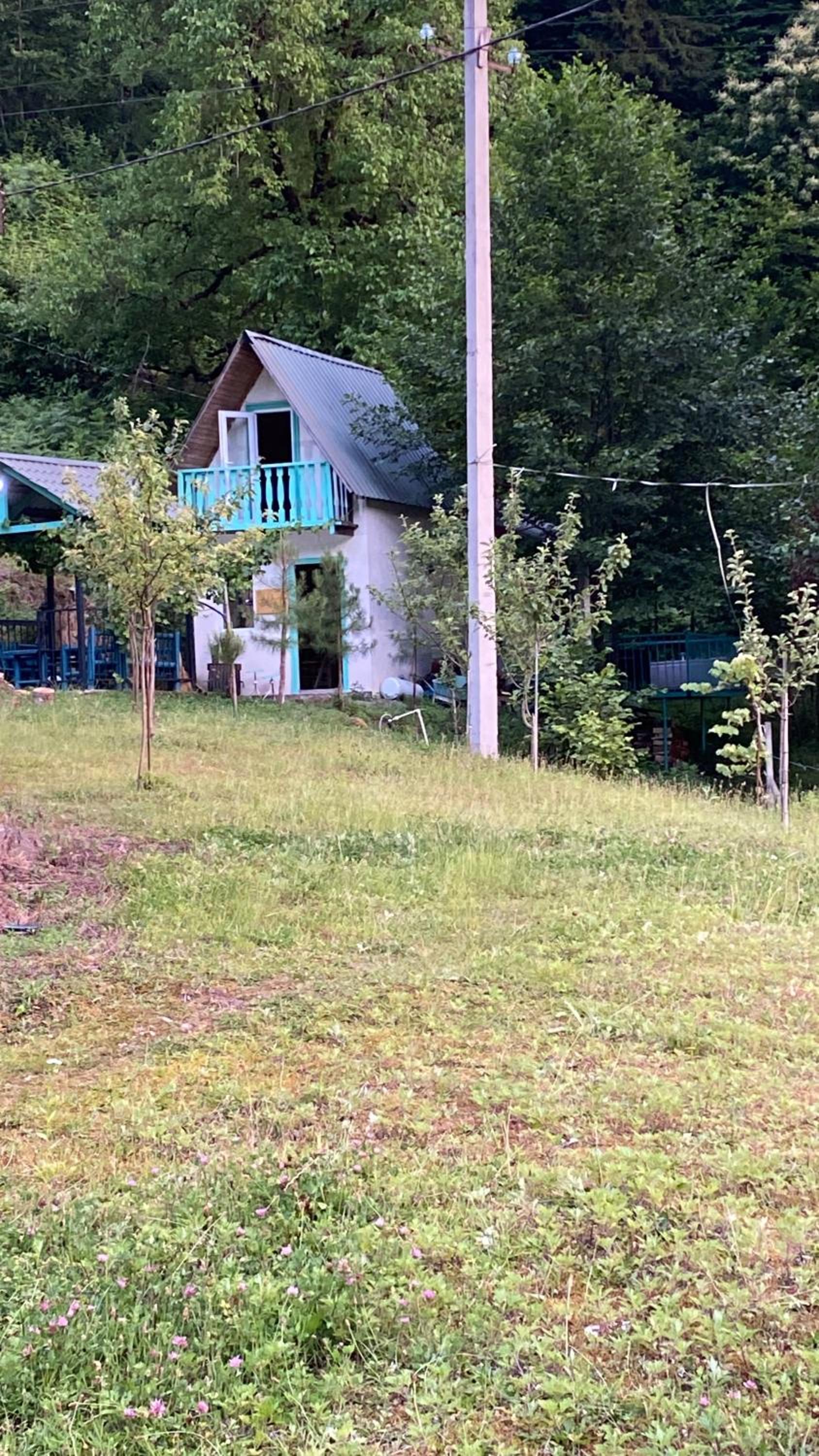 Photo 31