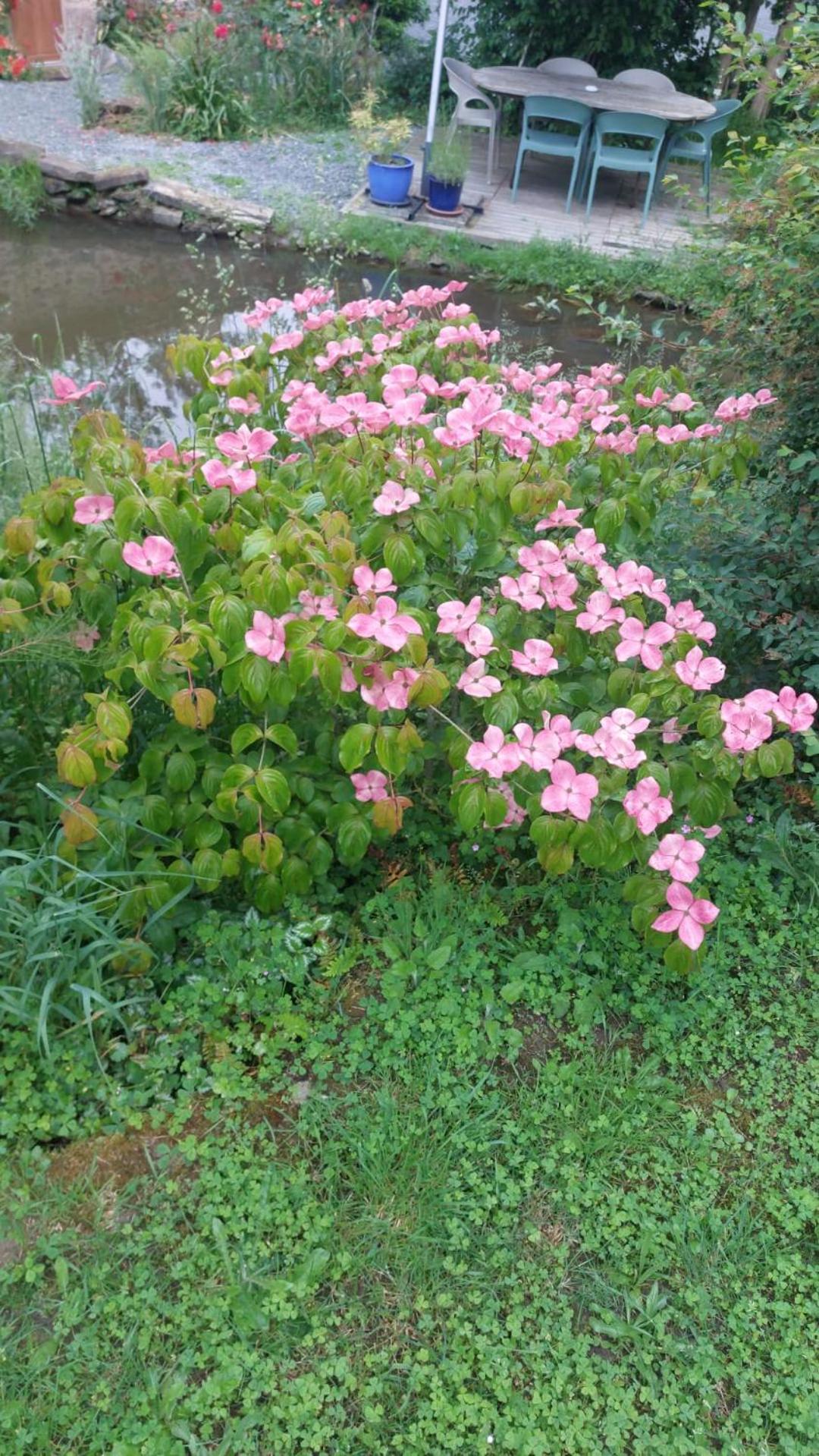 Photo 40