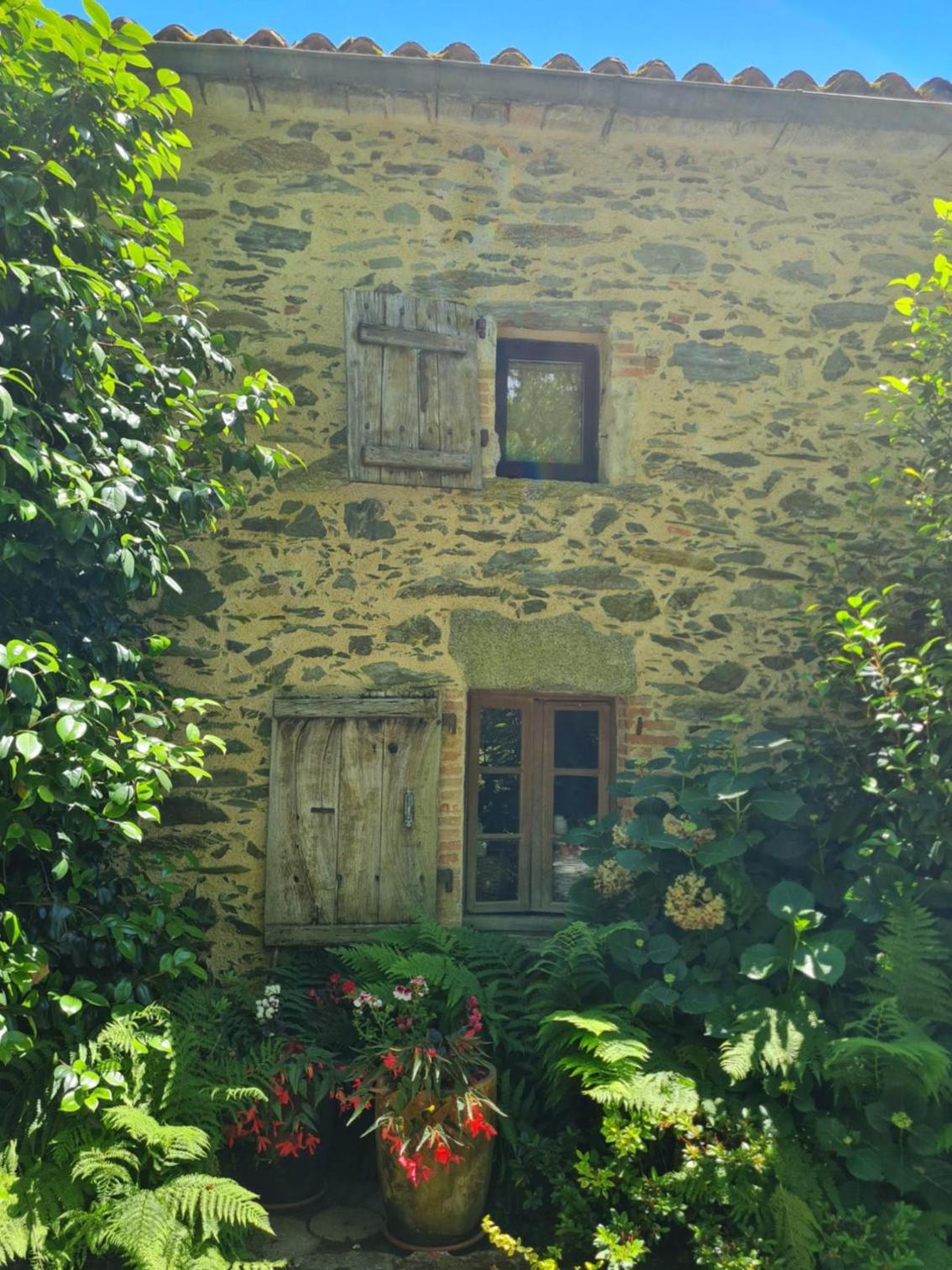 Photo 5