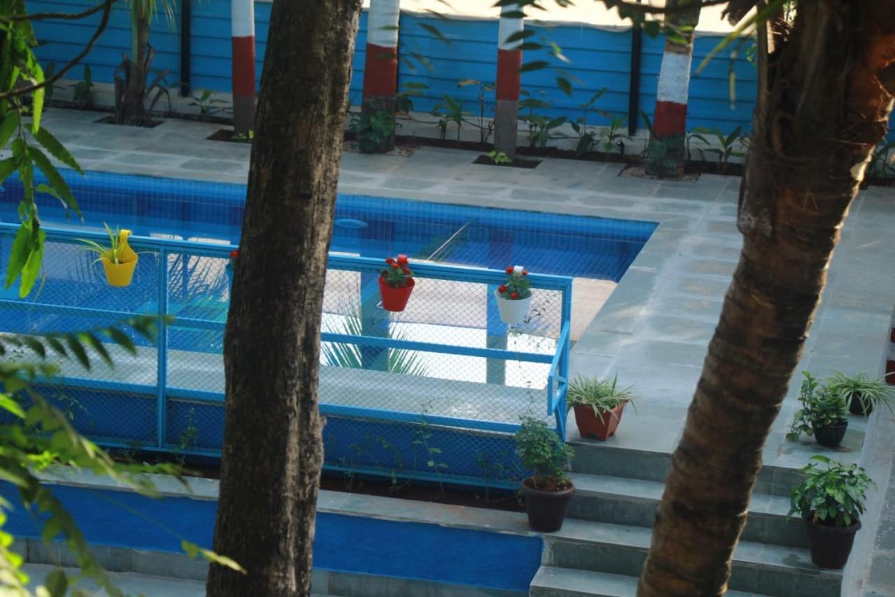 Photo 12
