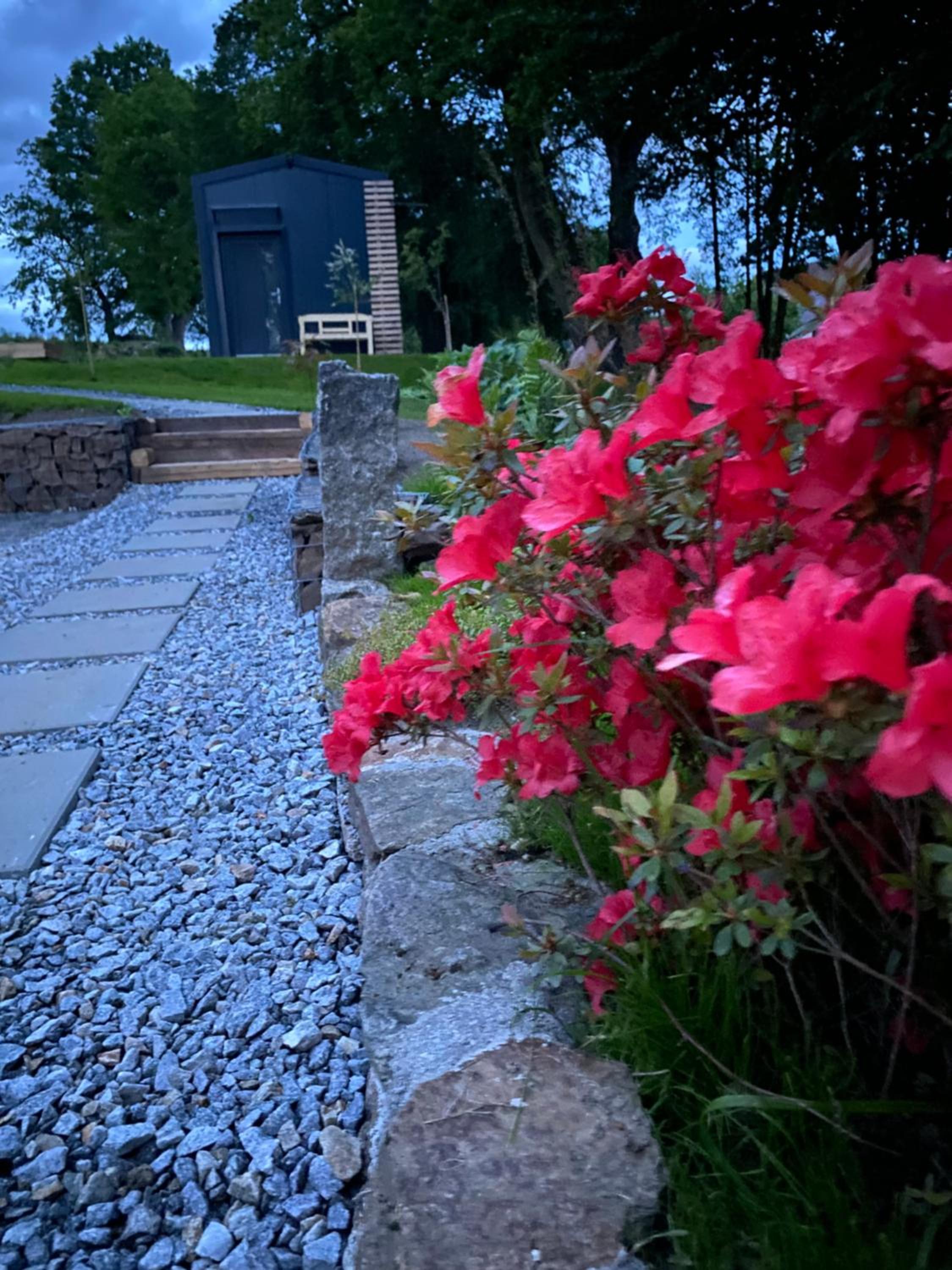 Alexa Resort