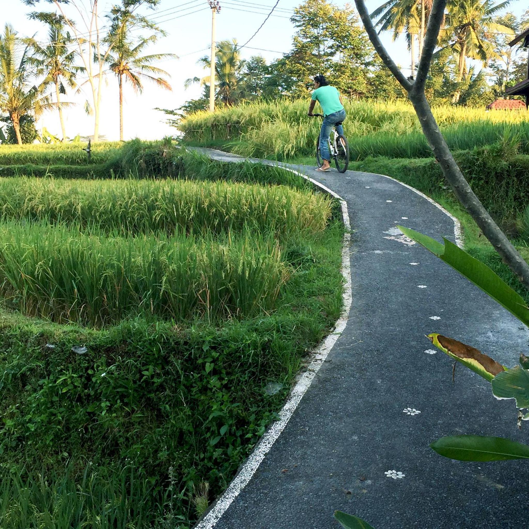 Ubud Sawah Scenery Villa and Homestay
