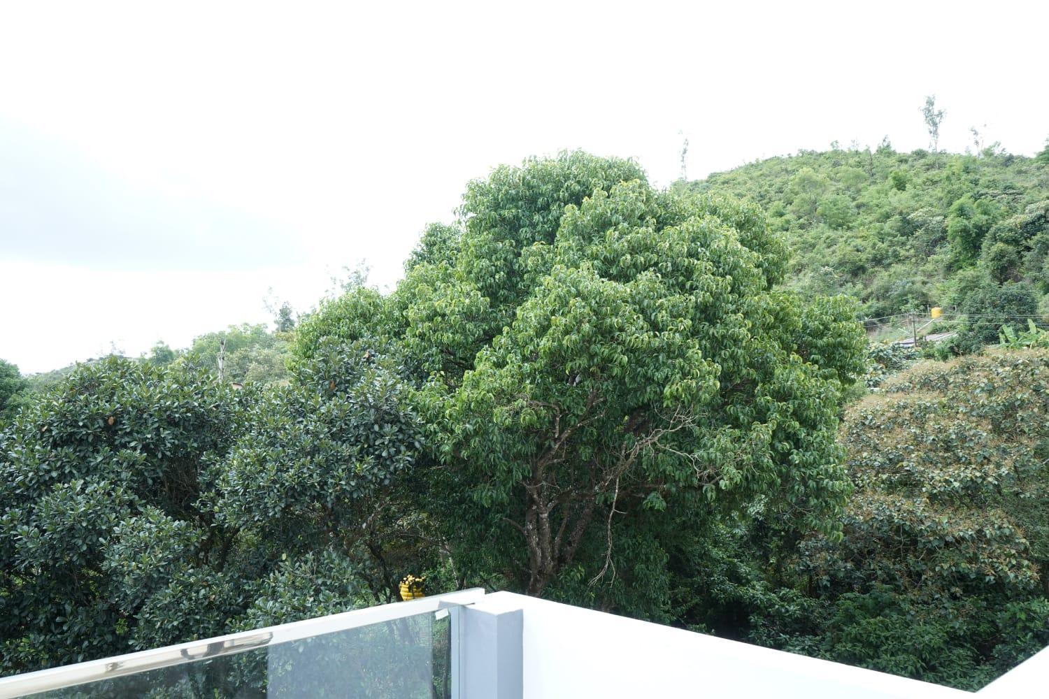 COORG PRINCE Home Stay
