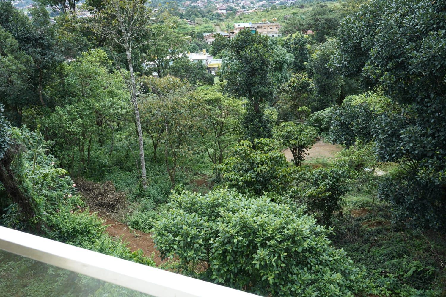 COORG PRINCE Home Stay