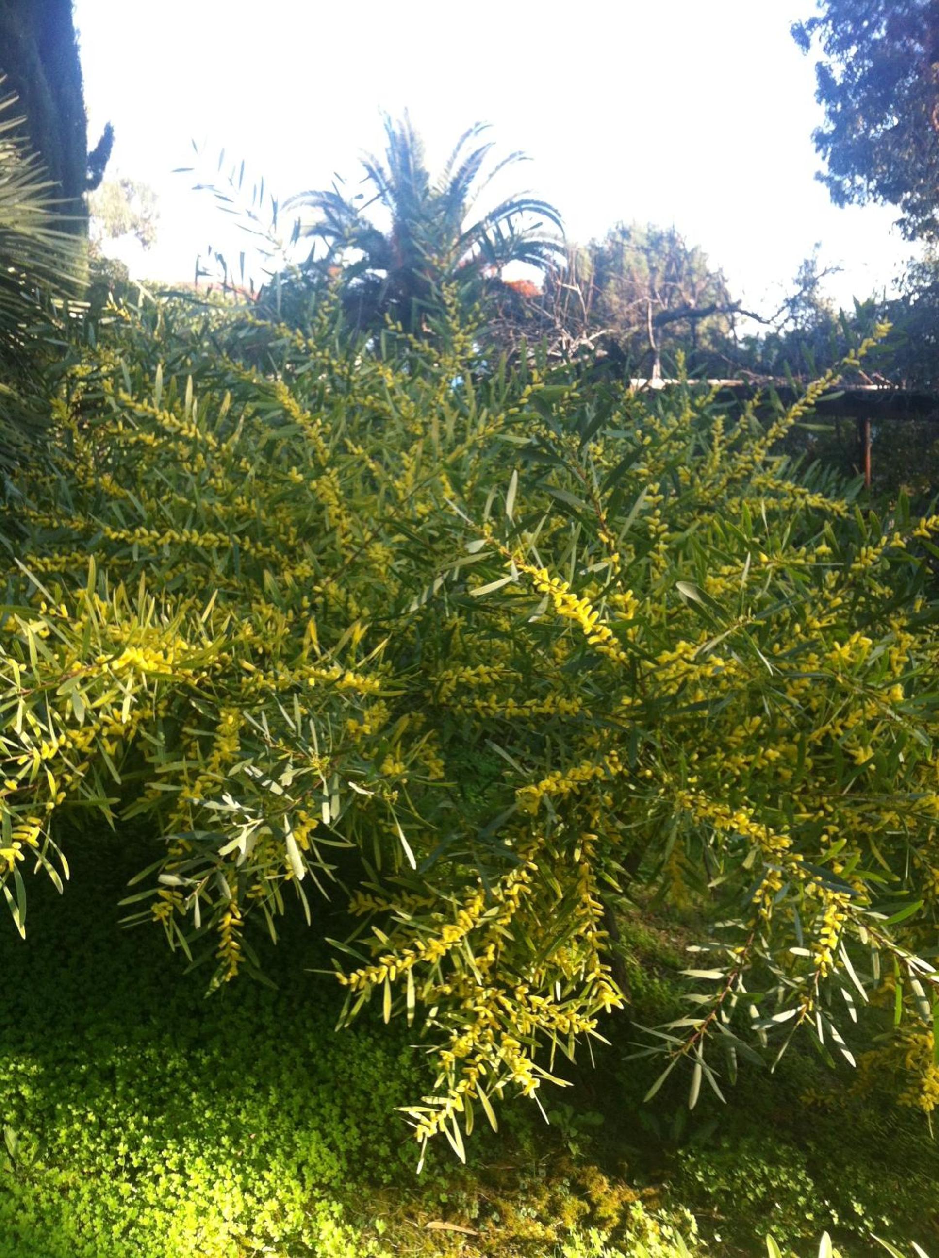 Photo 13