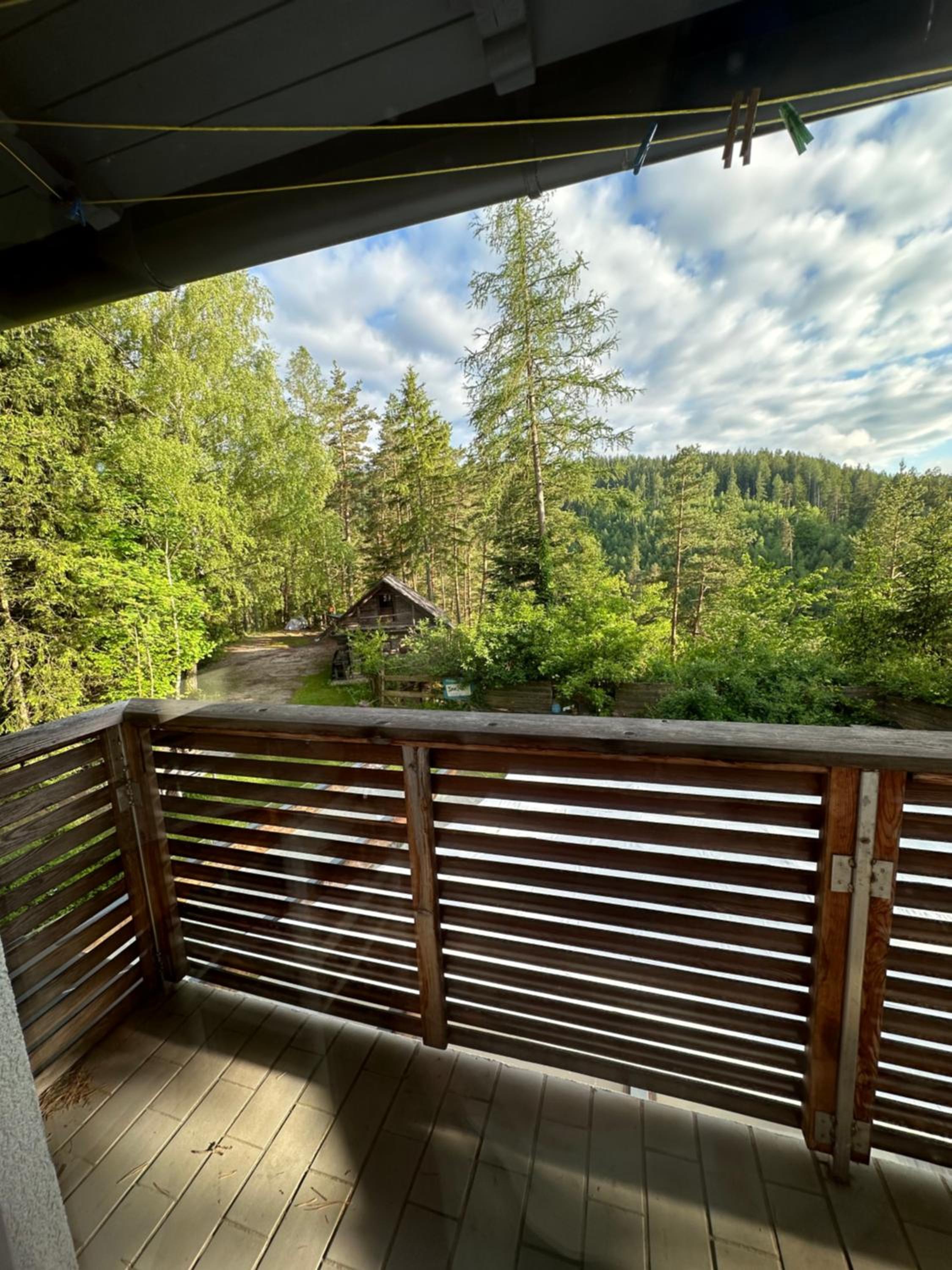 Ferienhaus im Wald