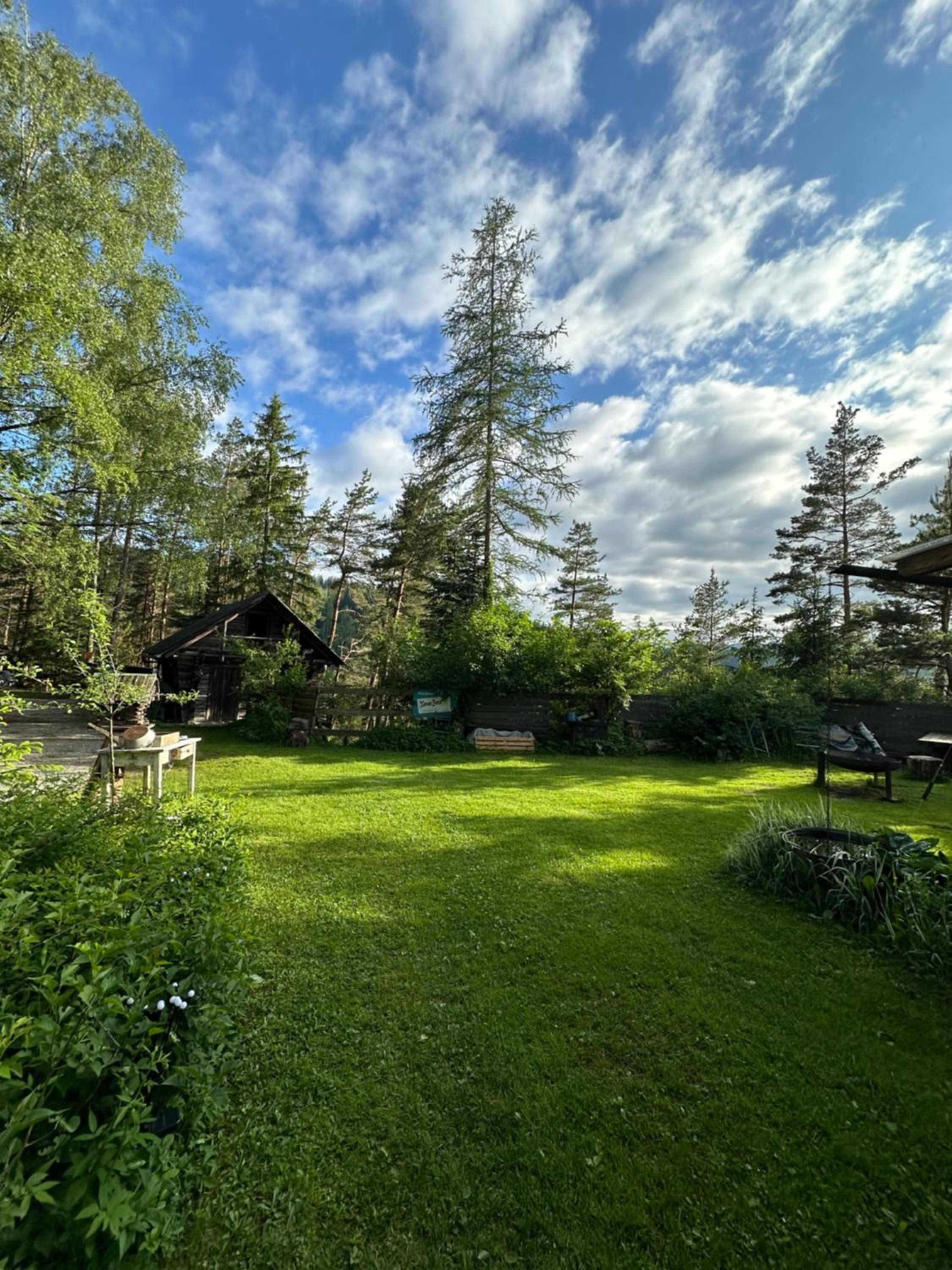 Ferienhaus im Wald
